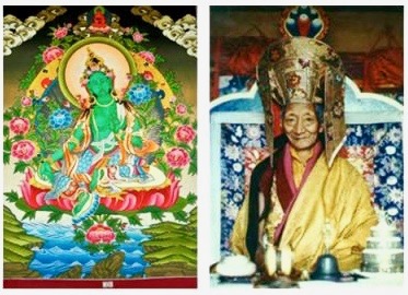 The resident sangha of PTC will be commemorating the anniversary of our root lama Dorje Chang Kalu Rinpoche's parinirvana.
And to honor all mothers (past, present, and future!) we will be chanting the short practice of Green Tara.